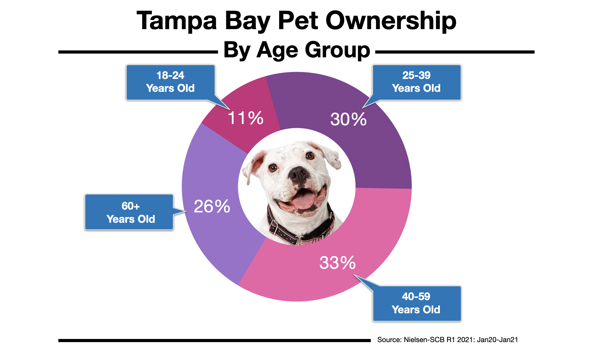 Advertising To Pet Owners In Tampa Bay